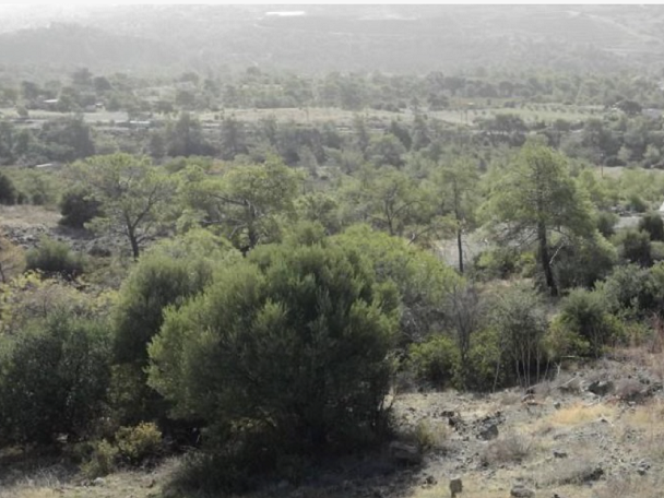 For Sale: Land (Agricultural) in Finikaria, Limassol  | Key Realtor Cyprus