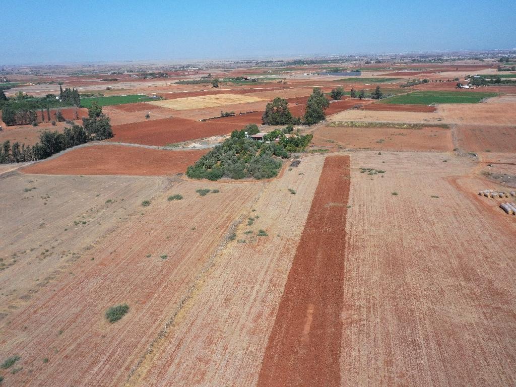 Property for Sale: (Agricultural) in Avgorou, Famagusta  | Key Realtor Cyprus