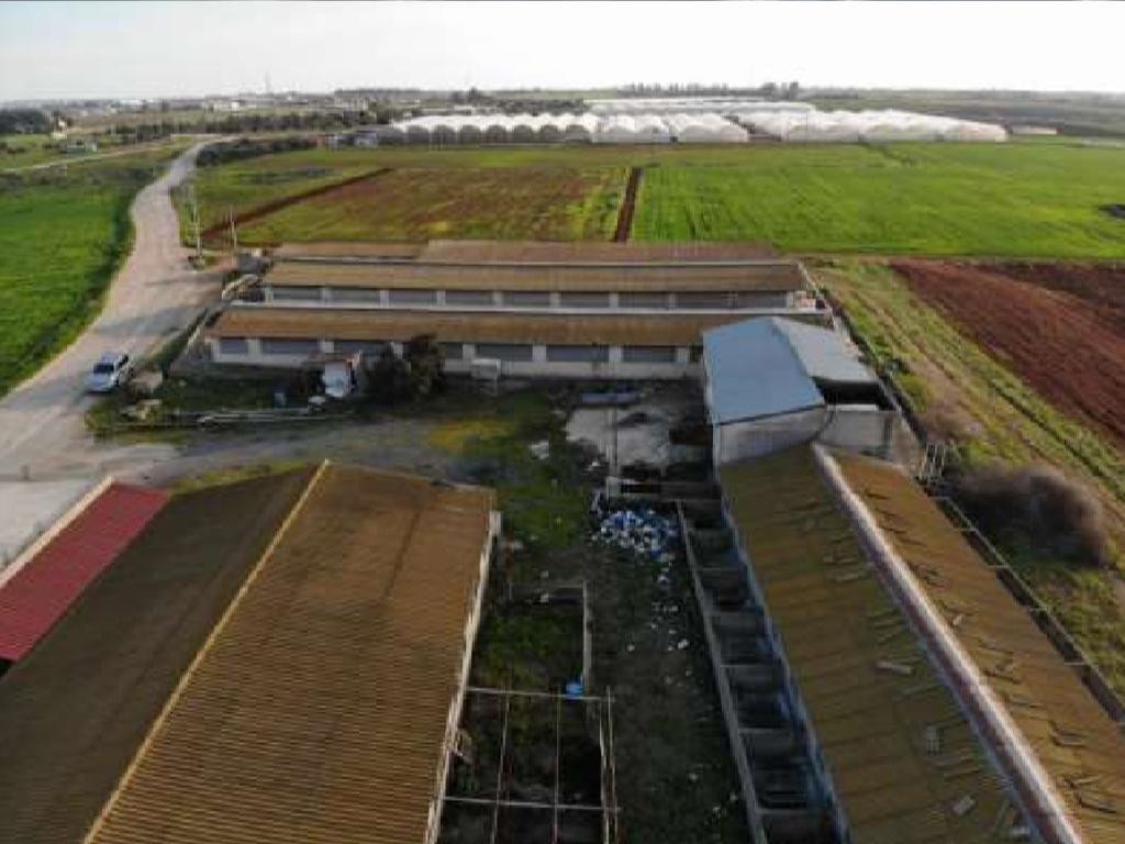 Property for Sale: Commercial (Warehouse) in Ormidia, Larnaca  | Key Realtor Cyprus