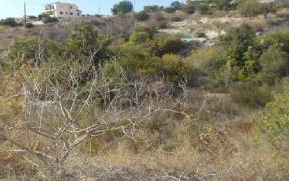 Property for Sale: (Residential) in Tala, Paphos  | Key Realtor Cyprus