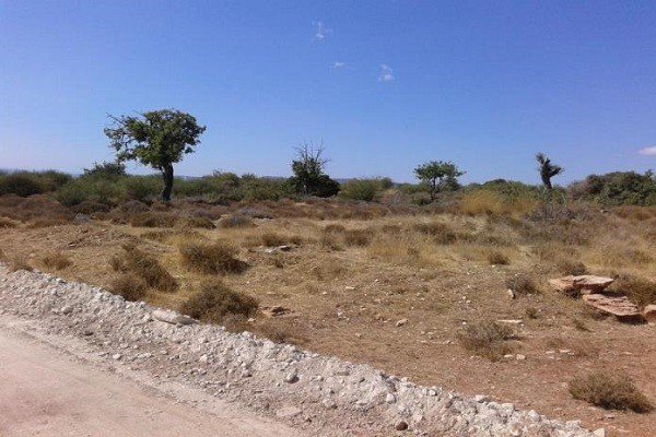 Property for Sale: (Agricultural) in Agios Amvrosios, Limassol  | Key Realtor Cyprus