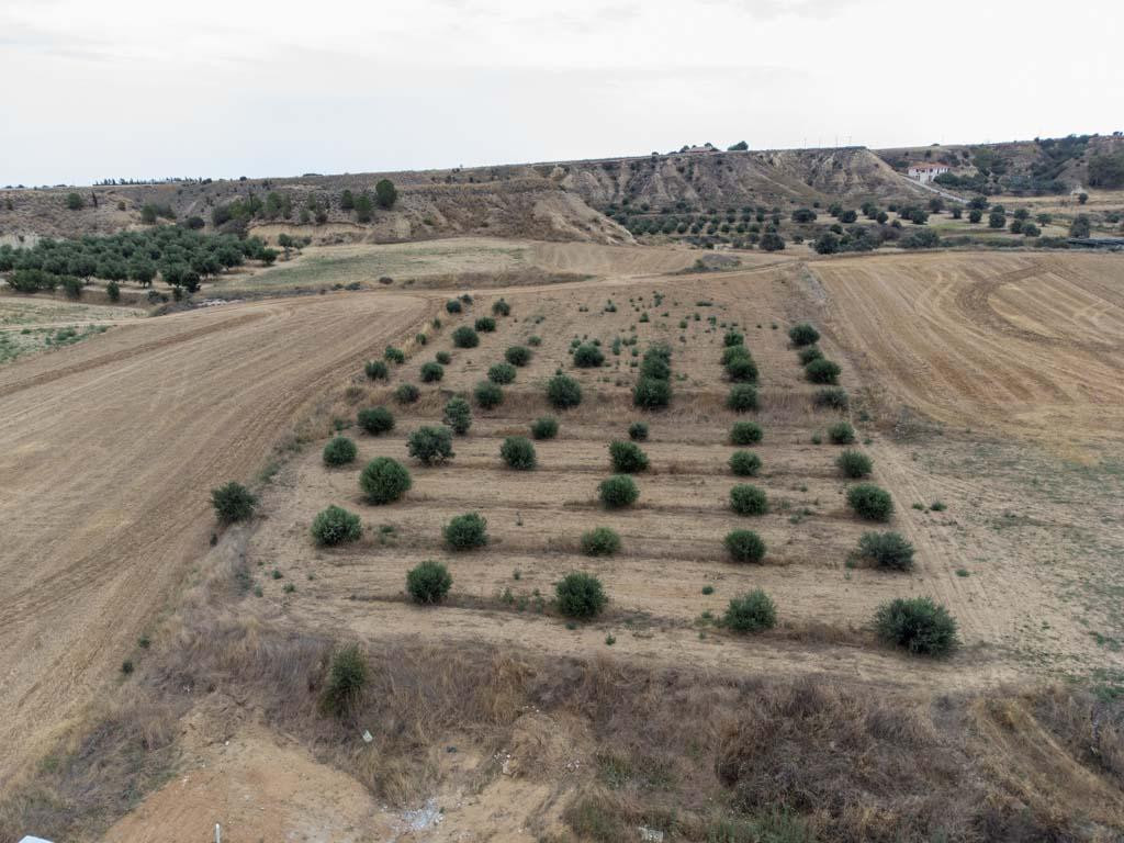 Property for Sale: (Residential) in Paliometocho, Nicosia  | Key Realtor Cyprus