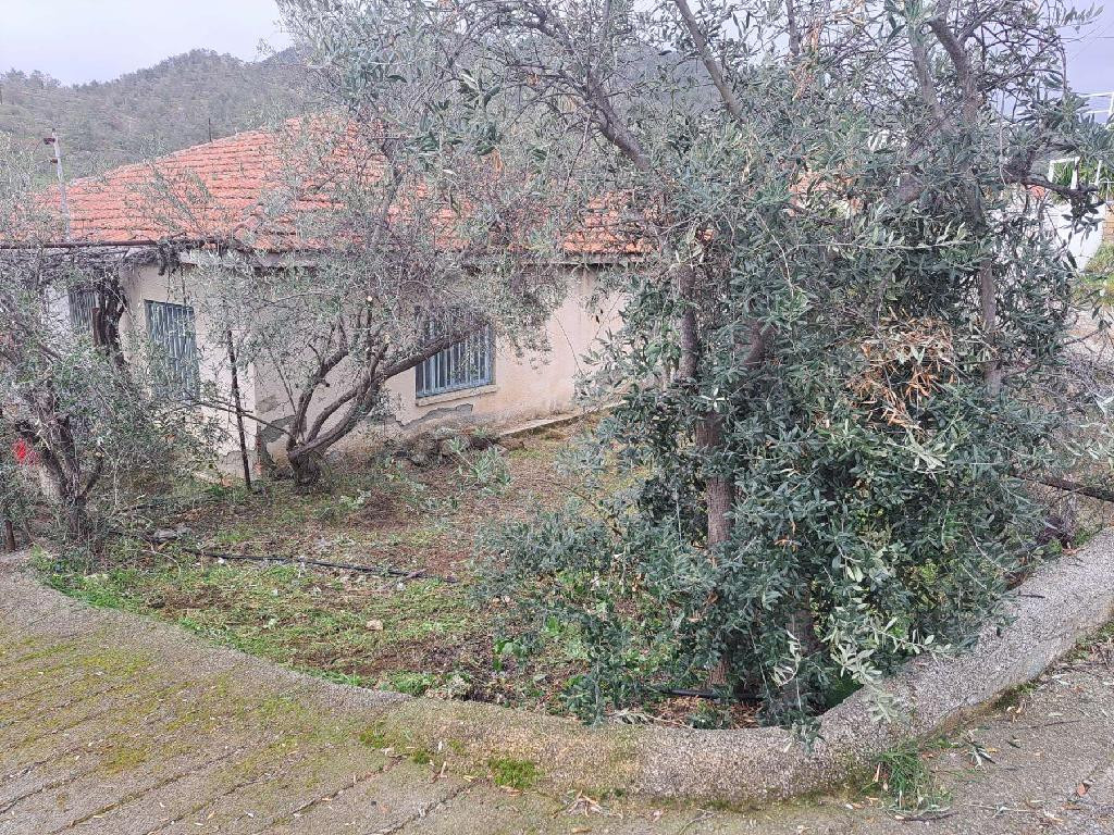 Property for Sale: House (Detached) in Agios Theodoros Soleas, Nicosia | Key Realtor Cyprus