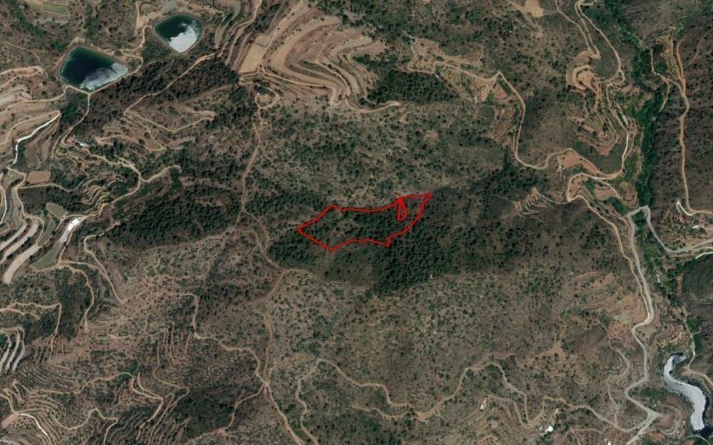 Property for Sale: (Agricultural) in Agioi Vavatsinias, Larnaca | Key Realtor Cyprus