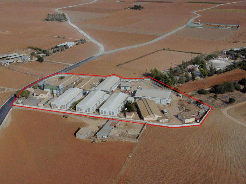 Property for Sale: Commercial (Warehouse/Factory) in Xylotymvou, Larnaca | Key Realtor Cyprus