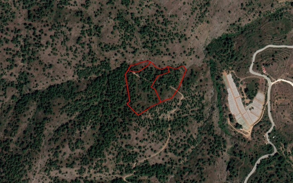 Property for Sale: (Agricultural) in Fikardou, Nicosia | Key Realtor Cyprus