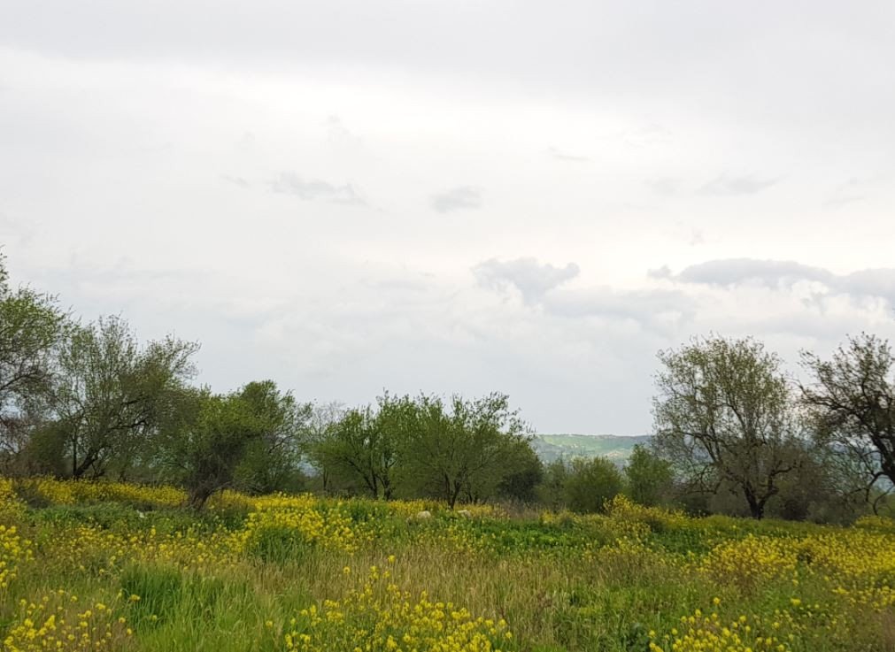 Property for Sale: (Residential) in Lasa, Paphos | Key Realtor Cyprus